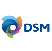 DSM